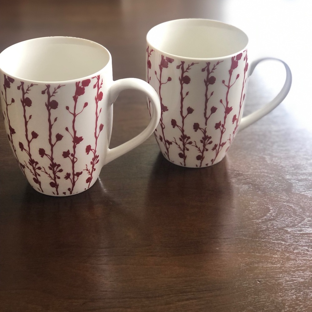 Coffee mugs, set of 2